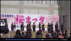 桜まつり動画FB